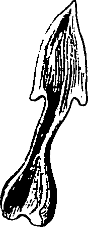 120/120040010106260_2.png