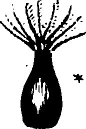 120/120040010106270_0.png