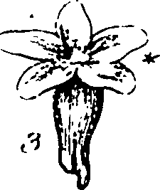 120/120040010106270_1.png