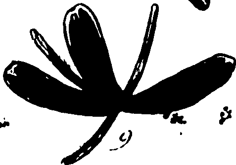 120/120040010106310_0.png