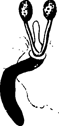 120/120040010106310_1.png