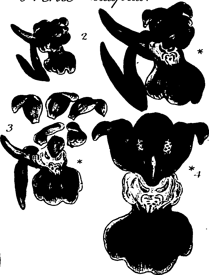 120/120040010106310_2.png
