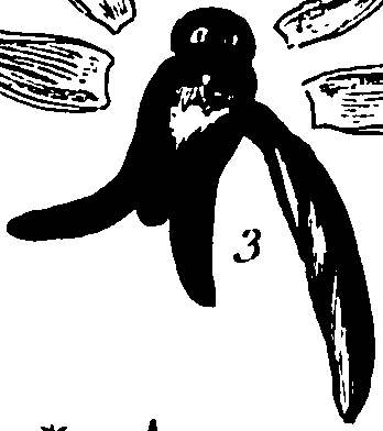 120/120040010106340_1.png