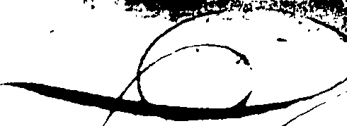 120/120060030000010_0.png