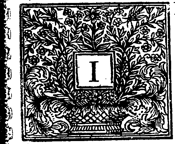 120/120100050000020_0.png