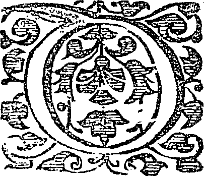 120/120230080000110_0.png
