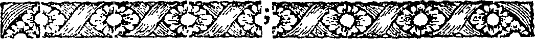 120/120250390000040_1.png