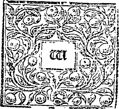 120/120360410000010_0.png