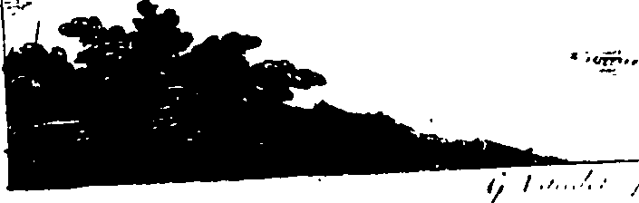 120/120740110000010_0.png