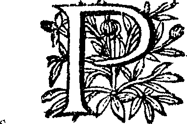 120/120760010008480_0.png