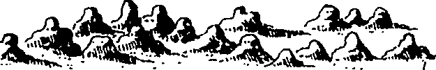 120/120900030003170_0.png