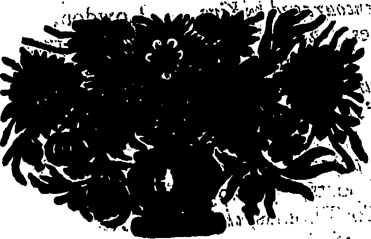 120/120950051005980_0.png