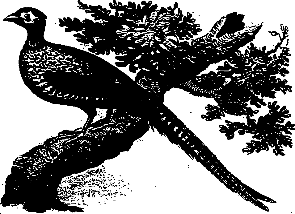 121/121010020000270_0.png