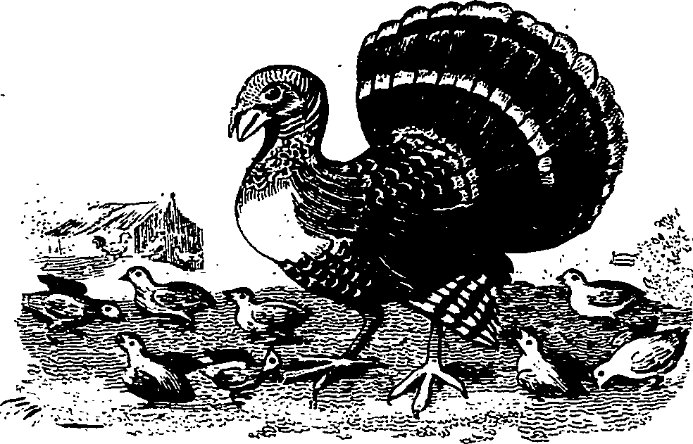 121/121010020000310_0.png