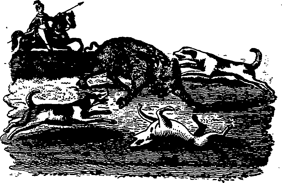121/121010020000460_0.png