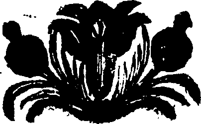 121/121160050000020_1.png
