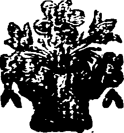 121/121160060000910_0.png