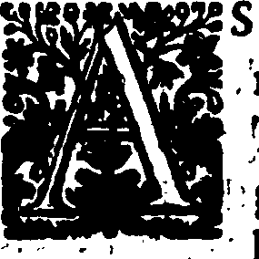 121/121310160000040_0.png