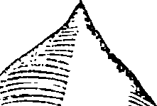 121/121450020001640_0.png