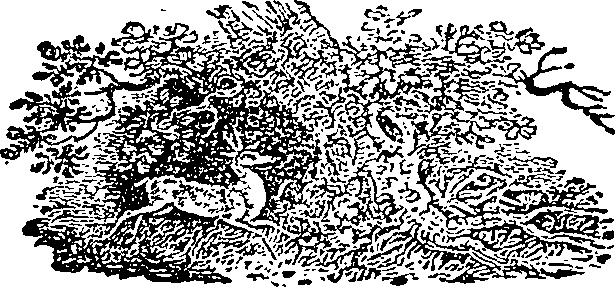 121/121460050002340_0.png