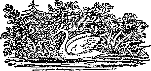 121/121460050002420_0.png