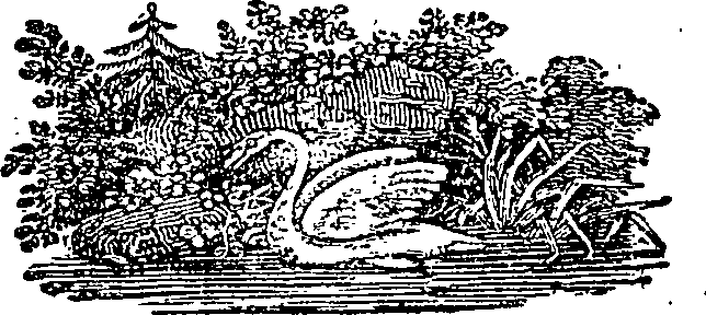 121/121460050003760_0.png