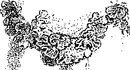 121/121540040000080_0.png