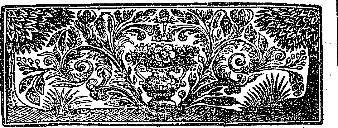121/121550030504560_0.png