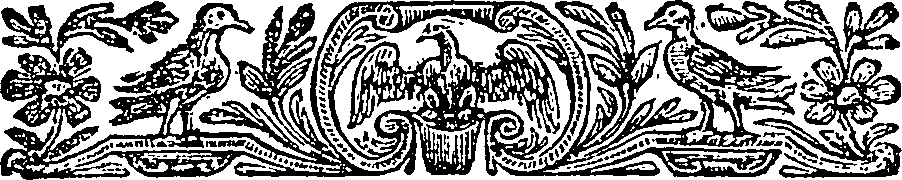 121/121720030101590_1.png