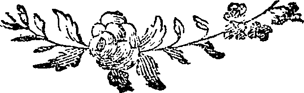 121/121760020000250_0.png