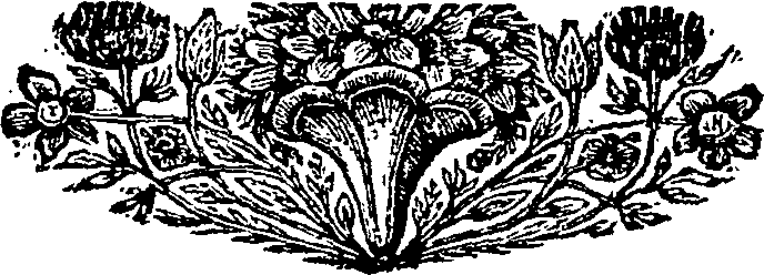121/121770060502020_0.png
