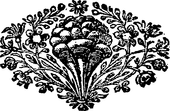 121/121770060502850_0.png