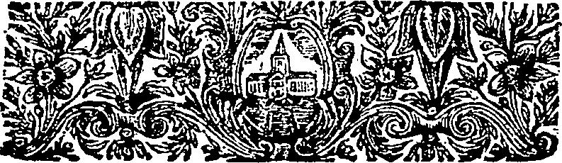 121/121770060502860_1.png