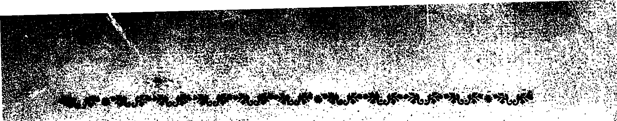 121/121790120000010_2.png