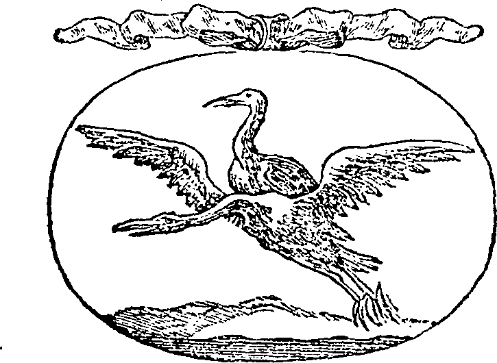 121/121990020000110_0.png