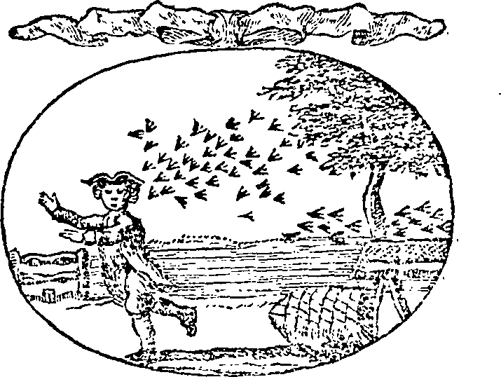 121/121990020000190_0.png