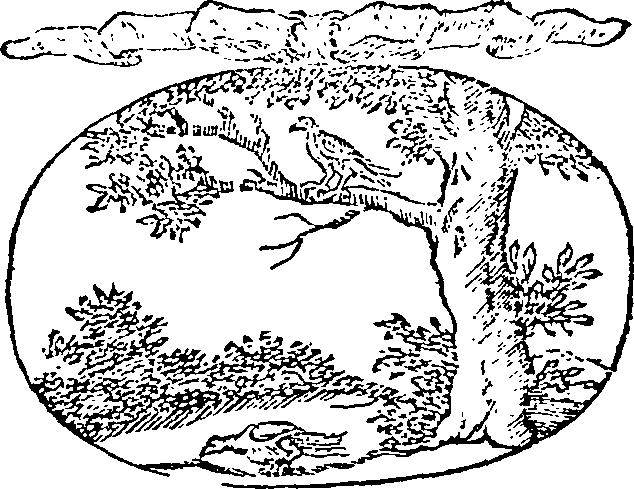 121/121990020000350_0.png