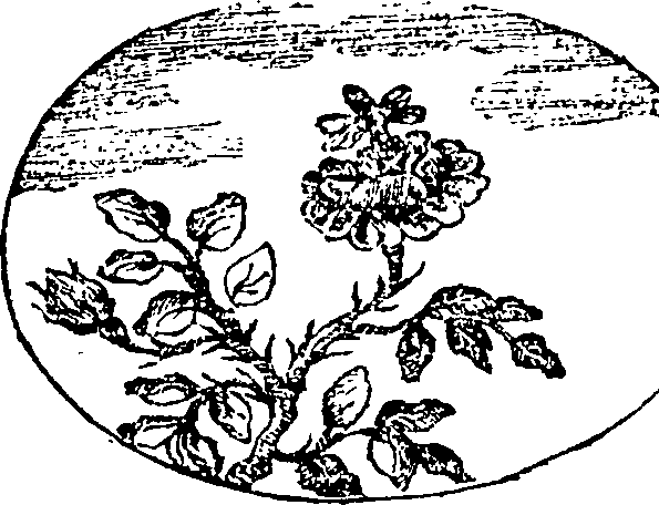 121/121990020000710_0.png