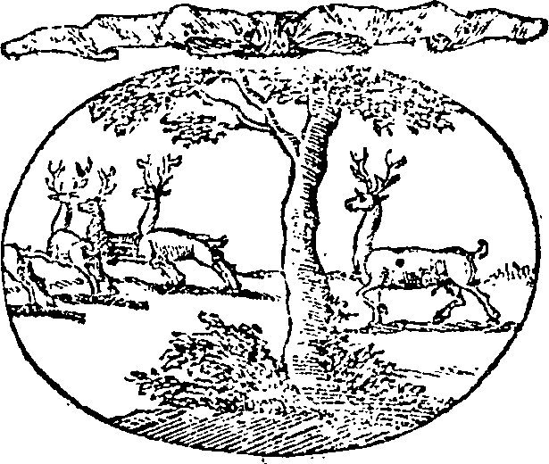 121/121990020000870_0.png
