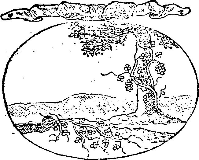 121/121990020000910_0.png