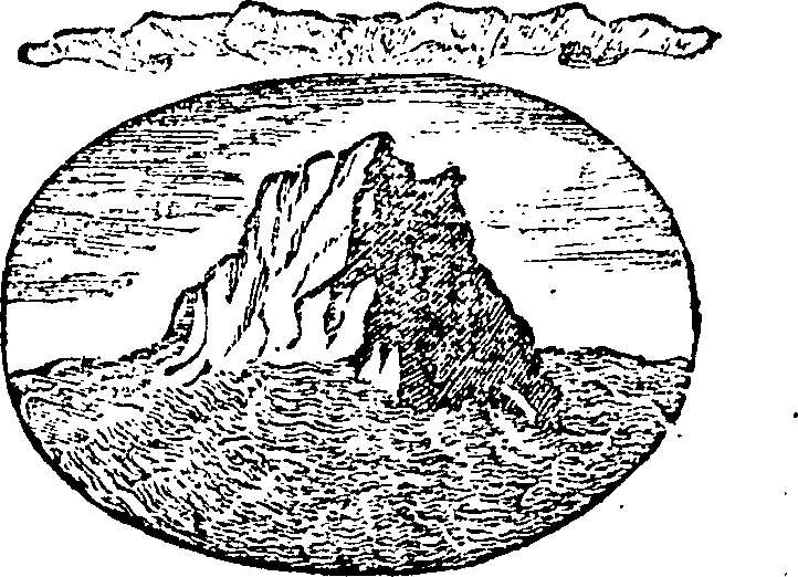 121/121990020000990_0.png