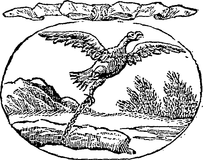 121/121990020001190_0.png