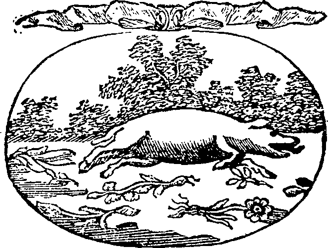 121/121990020001270_0.png