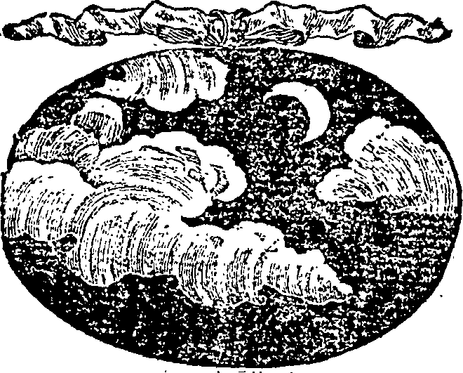 121/121990020001360_0.png