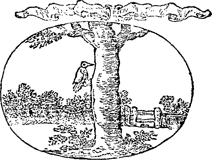 121/121990020001590_0.png