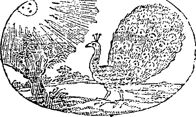 121/121990020001650_0.png