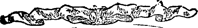 121/121990020001650_1.png