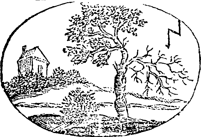 121/121990020001770_0.png