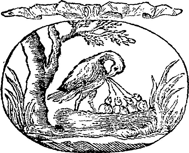 121/121990020001800_0.png