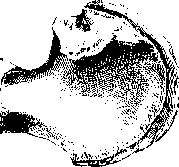 122/122130030000020_0.png